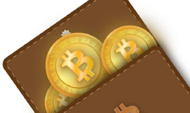 Recover Your Bitcoin Wallet Password Now - 
